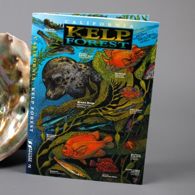 CA Kelp Forest Trifold