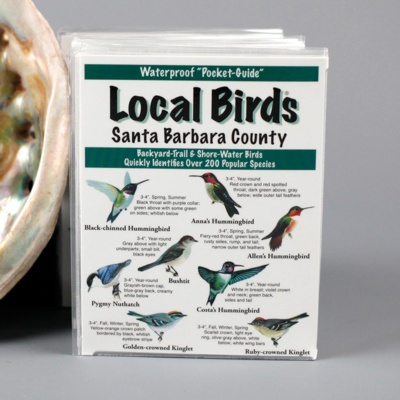 Local Birds Pocket Guide