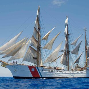 Eagle Under Full Sail