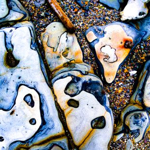 Lobos LR by David Ellis