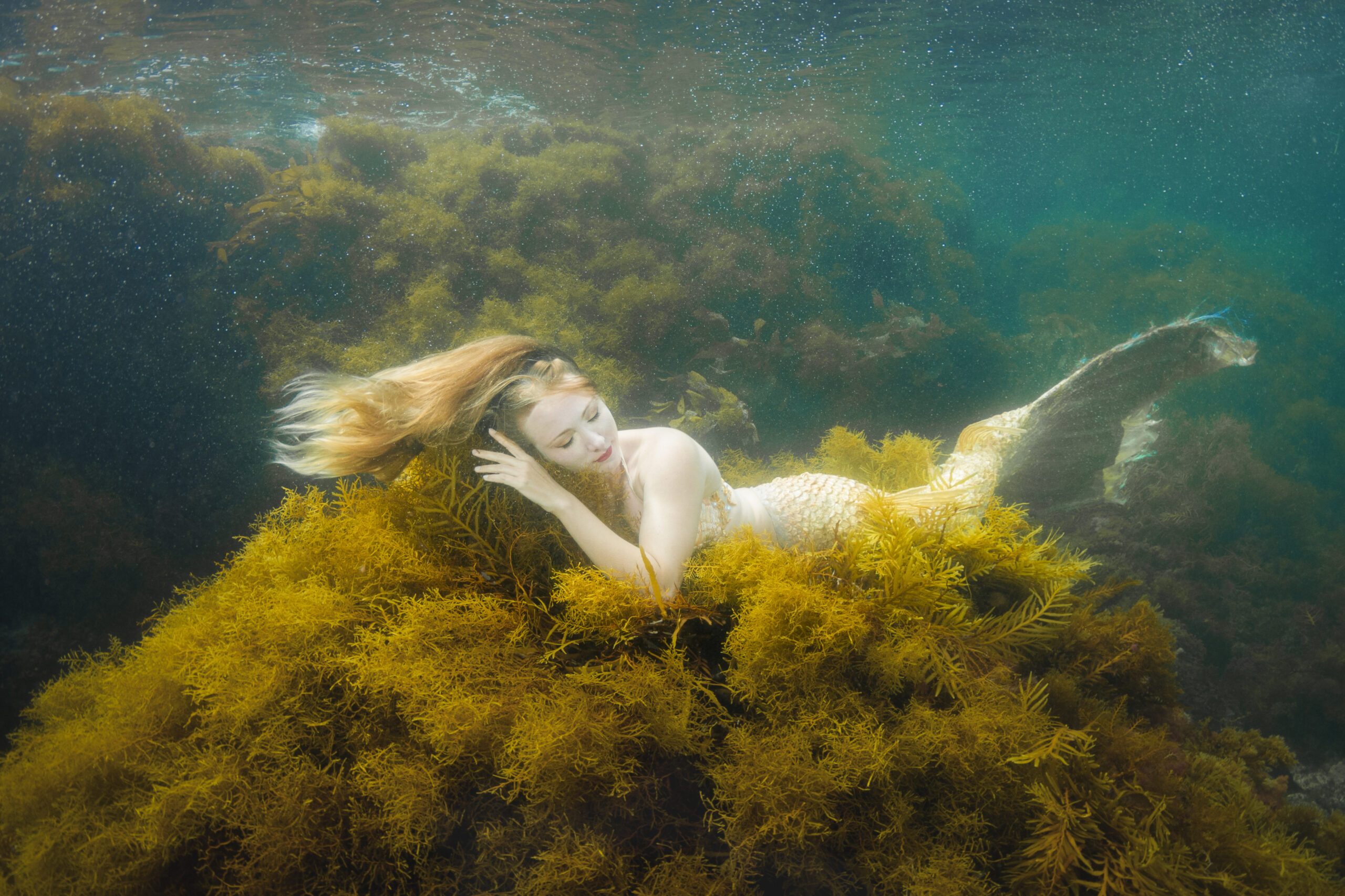 Image of a mermaid under the water.