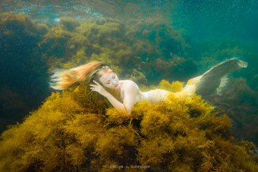 Ralph Clevinger Mermaid Photo