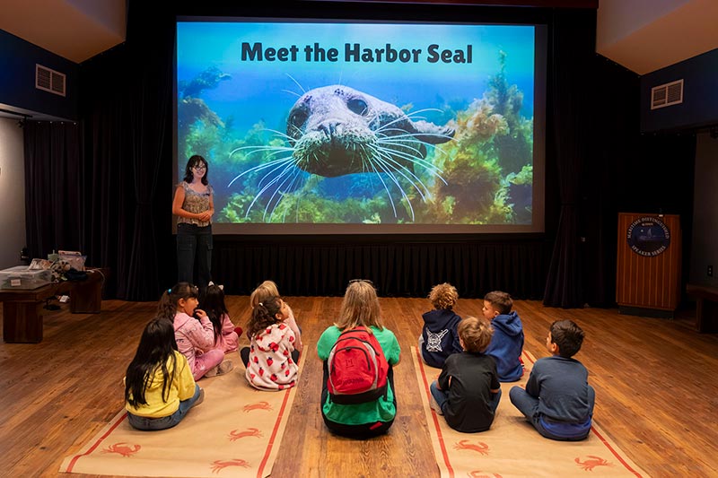 santa-barbara-maritime-museum-kids-field-trip-800x533