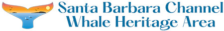 sb-channel-whale-heritage-logo